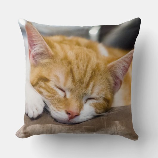 Coussin Cute Kitten (Recto)