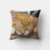 Coussin Cute Kitten (Verso)