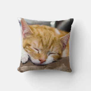 Coussin Cute Kitten