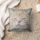 Coussin Cute Kitten Sleeping Face Amoureux des chats (Couverture)
