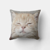 Coussin Cute Kitten Sleeping Face Amoureux des chats (Verso)