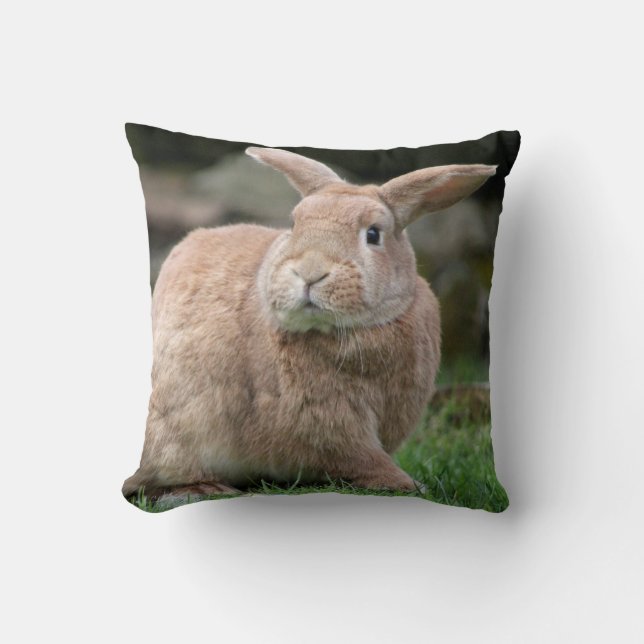 Coussin Cute lapin de gingembre avec de grandes oreilles (Recto)