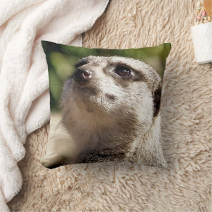 COUSSIN CUTE MEERKAT