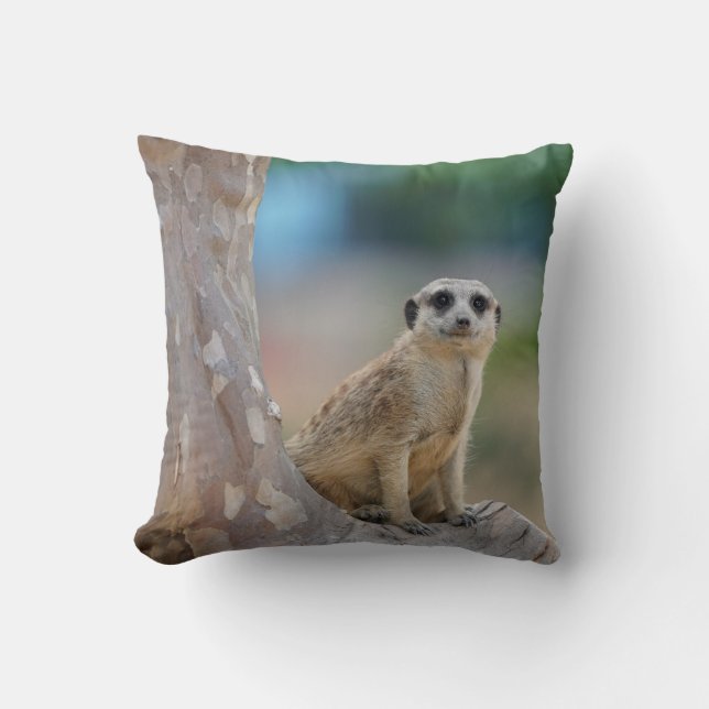Coussin Cute Meerkat Sat on Tree (Recto)