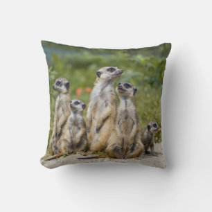 Coussin Cute Meerkats