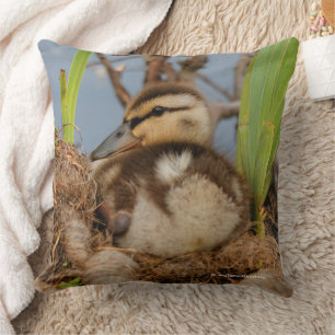 Coussin Cute Precocious Mallard Duckling Baby Bird