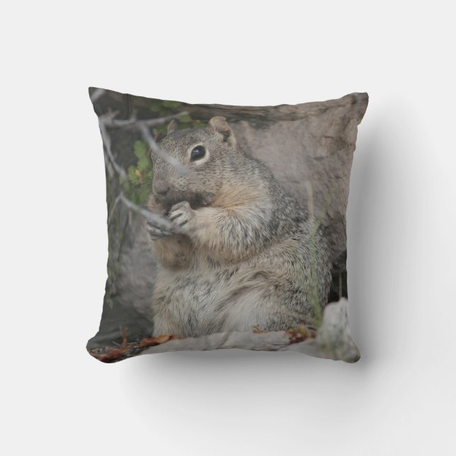 Coussin Cute serré écureuil lanceur de crosse (Recto)