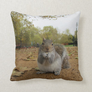 Coussin Cute serré écureuil lanceur de crosse
