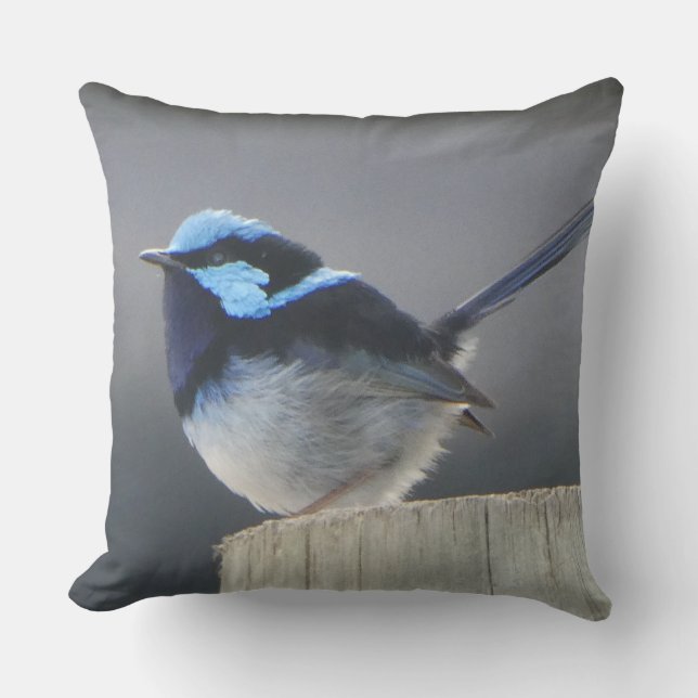 Coussin Cute Superb Fairywren Cushion (Recto)