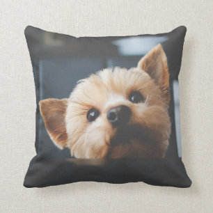 Coussin Cute Yorkshire Terrier Chien Chien Chien Chien Cou