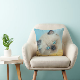 Coussin Cutest Baby Animals Himalayan Seal Point Cat