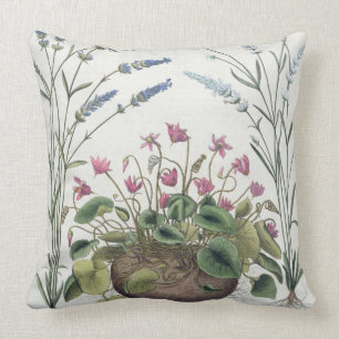 Coussin Cyclamen et lavande : 1.Cyclamen Romanum ; 2.Spica