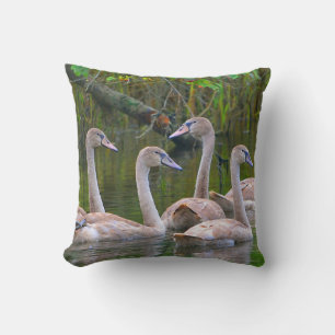 Coussin cygne