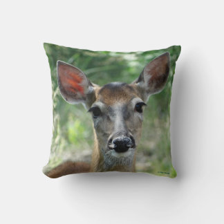 Coussin D33 White-tailed Deer Doe