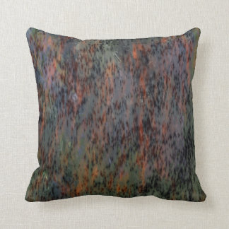 Coussin d'abstaction de couleur