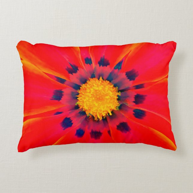  Coussin d'accent (Devant)
