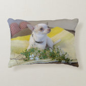 Coussin d'accent (Devant)