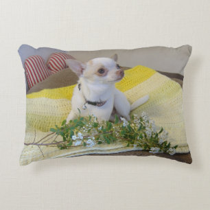 Coussin d'accent