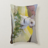 Coussin d'accent (Devant(Vertical))