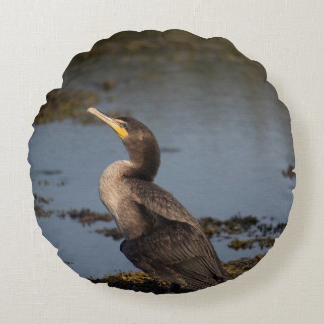 Coussin d'accent cormoran à double poitrine (Devant)