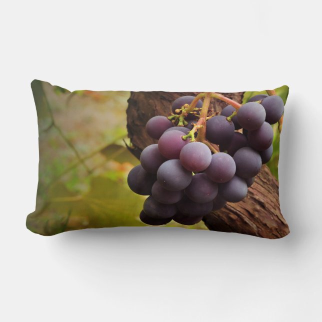 Coussin d'accent de vigne (Recto)