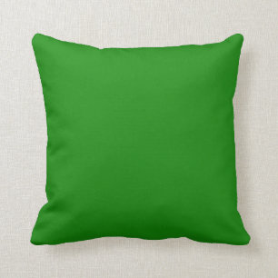 Coussin d'accentuation couleur vive écossais Inde