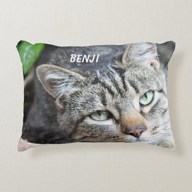 Coussin d'accentuation de chat gris (Devant)