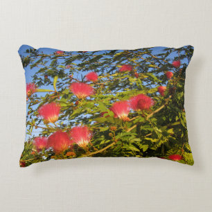 Coussin d'accentuation de la soie persane