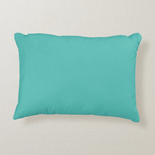 Coussin d'accentuation d'espace Turquoise (Dos)
