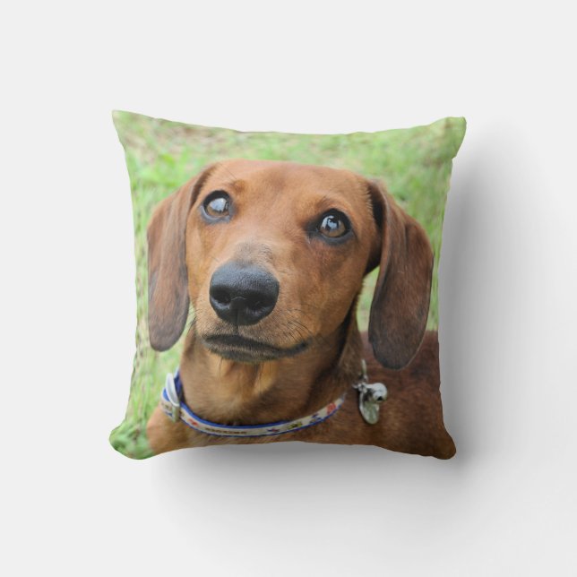 Coussin Dachshund (Recto)