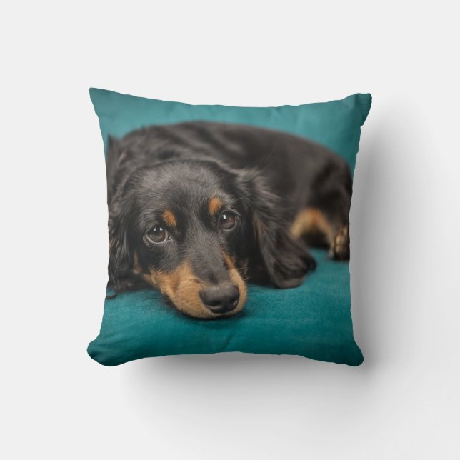 Coussin Dachshund à cheveux longs (Recto)
