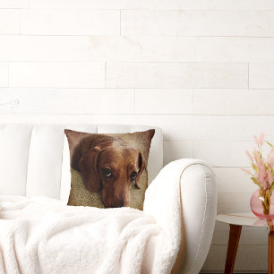 Coussin Dachshund Portrait Jeu d'oreiller