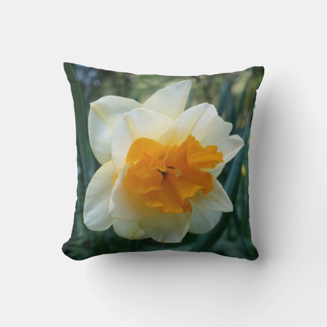 Coussin Daffodique (Recto)