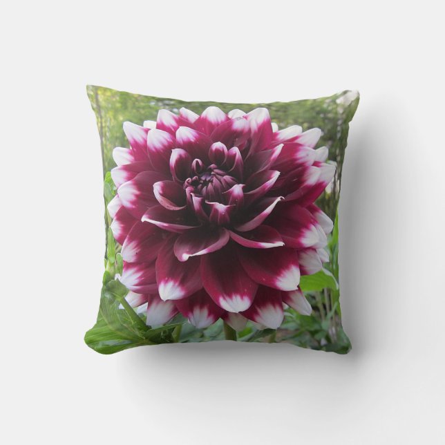 Coussin Dahlia (Recto)