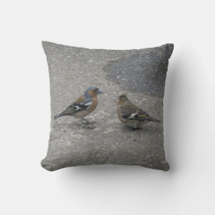 Coussin d'alimentation Chaffinch Feed Me