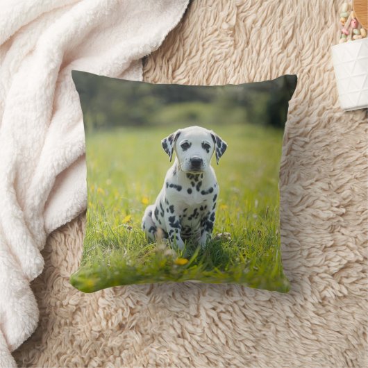 Coussin Dalmatien fantaisiste (Couverture)