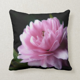 Coussin d'amande fleurissante