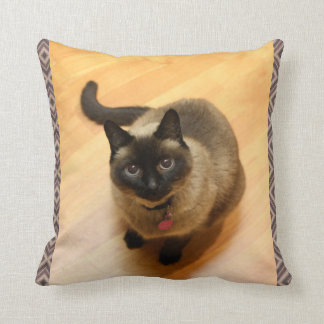 Coussin d'amoureux de les chats