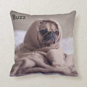 Coussin d'animal familier