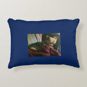 Coussin d'animal familier