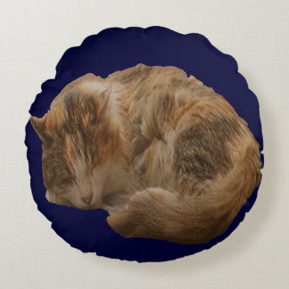 Coussin d'animal familier de polisson de chaton de