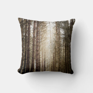COUSSIN DANS LA FORÊT