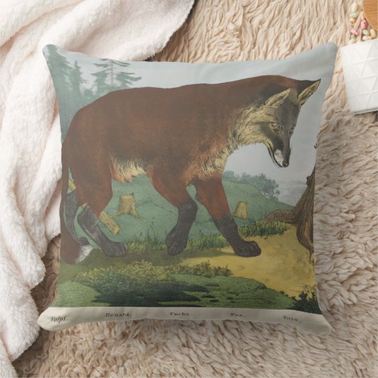 Coussin Dans Le Bois (Couverture)