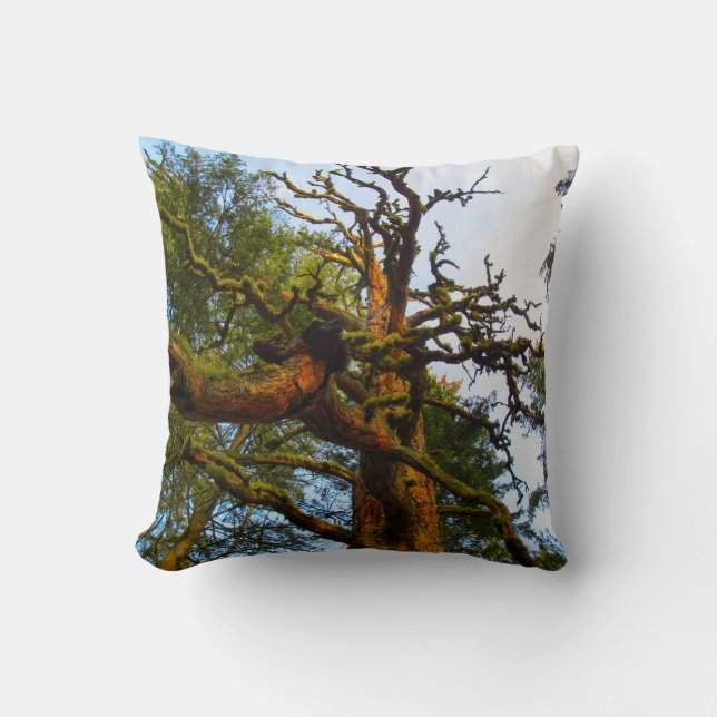 Coussin d'arbre (Recto)