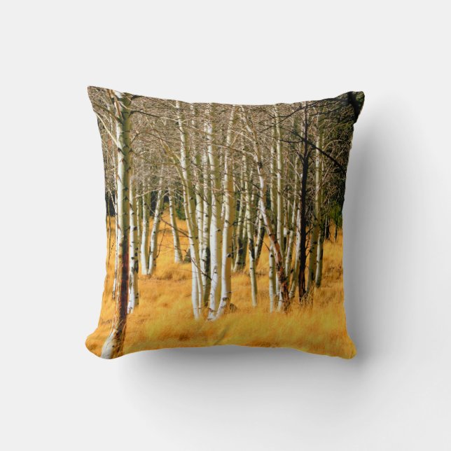 coussin d'arbres de tremble (Recto)