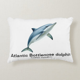 Coussin dauphin à bec