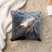Coussin Dauphin commun faisant surface Œuvre d'art côtière (Couverture)