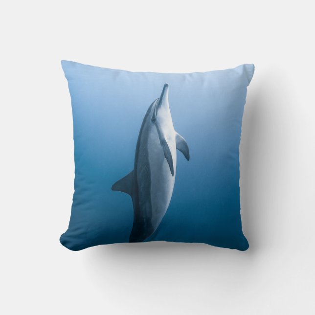 Coussin Dauphin de mer mignonne (Recto)