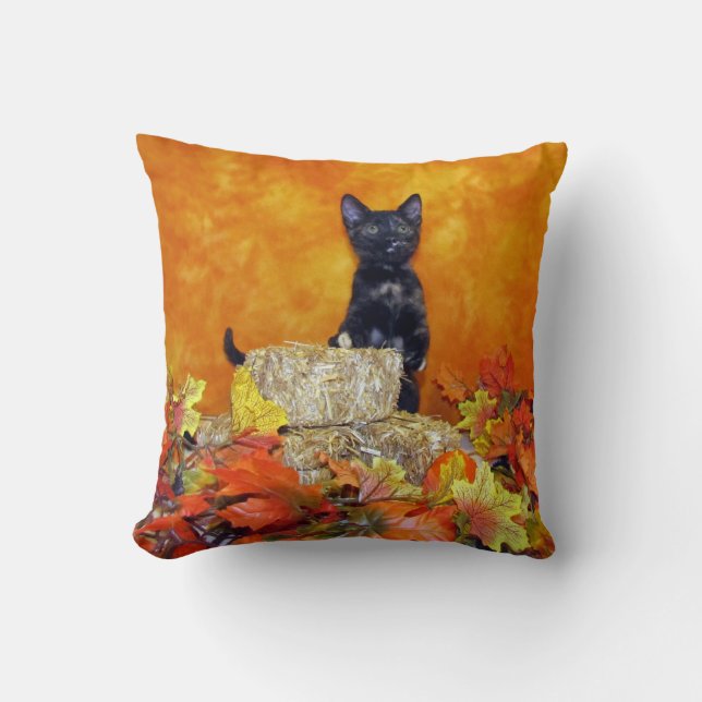 Coussin d'automne d'Ashlynn ( Chat / Kitten) (Recto)