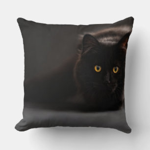 Coussin de 40,5 cm x 40,5